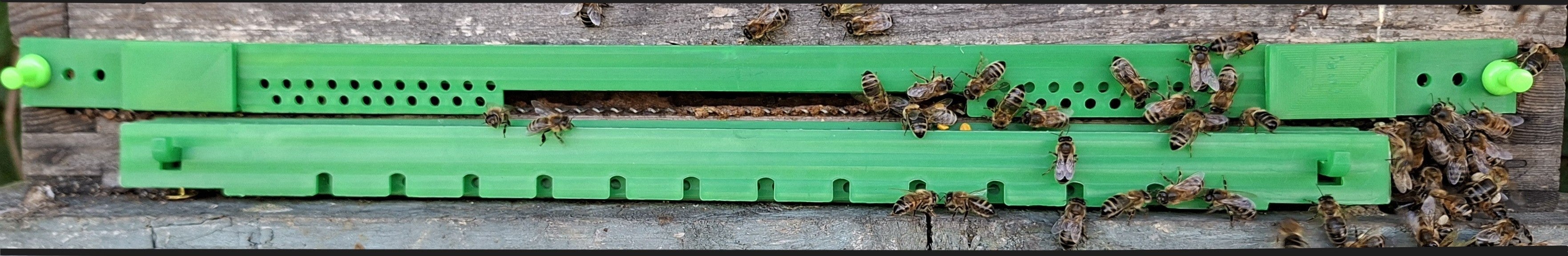 Hive-Five® Multi-Guard